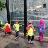 IMG_20190520_091842 (1)